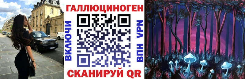 Псилоцибиновые грибы Magic Shrooms  где можно купить   omg рабочий сайт  даркнет Telegram  Чкаловск 